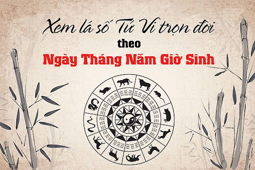 lá số tử vi trọn đời 2