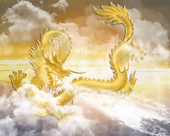 Tử vi 12 con giáp ngày 28/12/2022. Ảnh minh hoạ